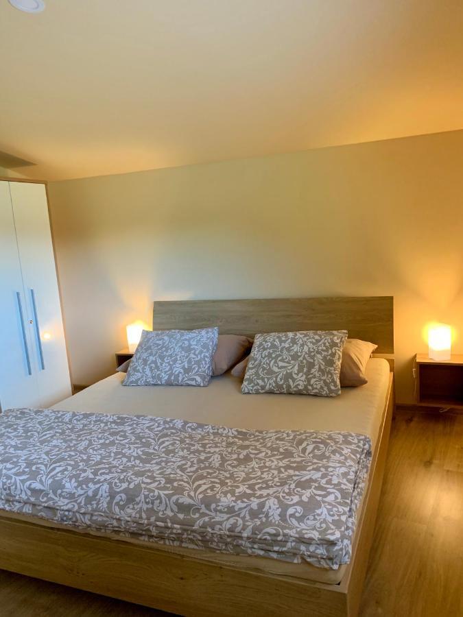 Grand Spa Holiday Home II Sklené Teplice Buitenkant foto