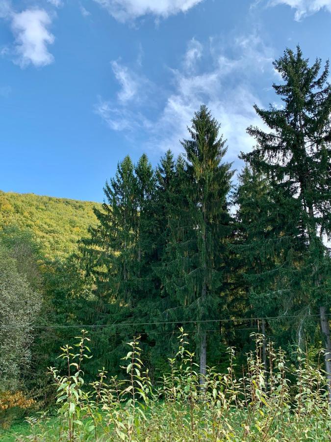 Grand Spa Holiday Home II Sklené Teplice Buitenkant foto
